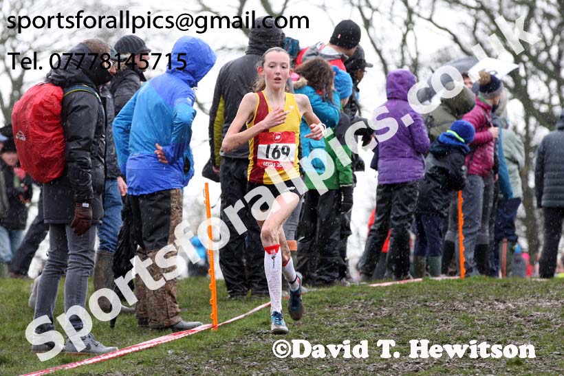 Junior girls 2019 New Balance English Schools Cross Country Champs, Temple Newsam, Leeds. Photo:  David T. Hewitson/Sports for All Pics